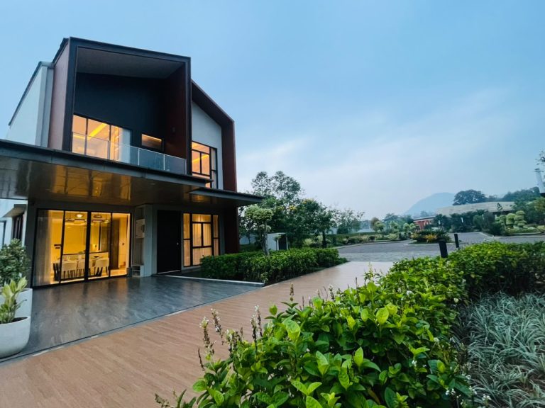 THE SANCTUARY COLLECTION, ORCHAD TYPE 8